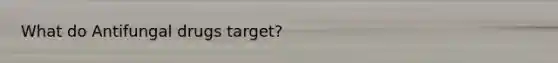 What do Antifungal drugs target?