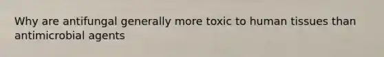 Why are antifungal generally more toxic to human tissues than antimicrobial agents