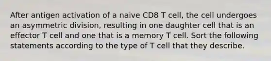 After antigen activation of a naive CD8 T cell, the cell undergoes an asymmetric division, resulting in one daughter cell that is an effector T cell and one that is a memory T cell. Sort the following statements according to the type of T cell that they describe.