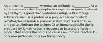 An antigen is __________, whereas an antibody is __________. A) a hapten molecule that is complex in shape; an enzyme produced by the thymus gland that neutralizes antigens B) a foreign substance such as a protein or a polysaccharide to which lymphocytes respond; a globular protein that reacts with an antigen to eliminate the antigen C) an immunoglobulin that is produced by lymph nodes in response to bacteria; a foreign protein that enters the body and causes an immune reaction D) only on a pathogen; only in a human body