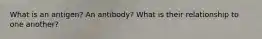 What is an antigen? An antibody? What is their relationship to one another?