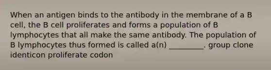 When an antigen binds to the antibody in the membrane of a B cell, the B cell proliferates and forms a population of B lymphocytes that all make the same antibody. The population of B lymphocytes thus formed is called a(n) _________. group clone identicon proliferate codon