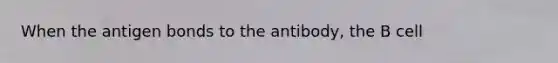 When the antigen bonds to the antibody, the B cell