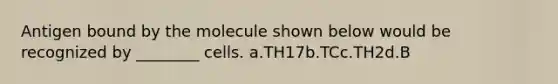 Antigen bound by the molecule shown below would be recognized by ________ cells. a.TH17b.TCc.TH2d.B