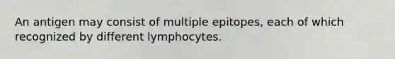 An antigen may consist of multiple epitopes, each of which recognized by different lymphocytes.