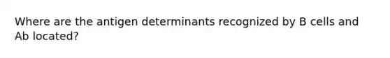 Where are the antigen determinants recognized by B cells and Ab located?