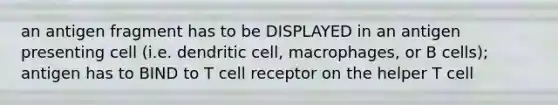 an antigen fragment has to be DISPLAYED in an antigen presenting cell (i.e. dendritic cell, macrophages, or B cells); antigen has to BIND to T cell receptor on the helper T cell