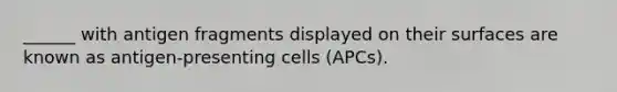 ______ with antigen fragments displayed on their surfaces are known as antigen-presenting cells (APCs).