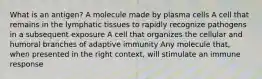 What is an antigen? A molecule made by plasma cells A cell that remains in the lymphatic tissues to rapidly recognize pathogens in a subsequent exposure A cell that organizes the cellular and humoral branches of adaptive immunity Any molecule that, when presented in the right context, will stimulate an immune response