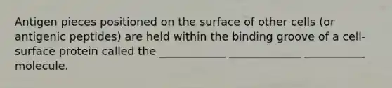 Antigen pieces positioned on the surface of other cells (or antigenic peptides) are held within the binding groove of a cell-surface protein called the ____________ _____________ ___________ molecule.