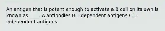 An antigen that is potent enough to activate a B cell on its own is known as ____. A.antibodies B.T-dependent antigens C.T-independent antigens