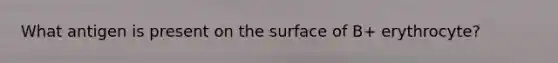 What antigen is present on the surface of B+ erythrocyte?