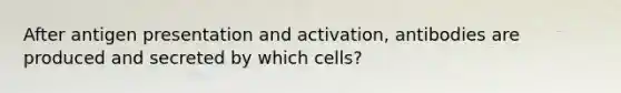 After antigen presentation and activation, antibodies are produced and secreted by which cells?