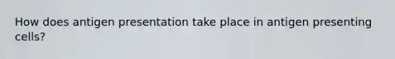 How does <a href='https://www.questionai.com/knowledge/k0AmSQ5SHR-antigen-presentation' class='anchor-knowledge'>antigen presentation</a> take place in antigen presenting cells?