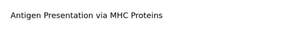 Antigen Presentation via MHC Proteins