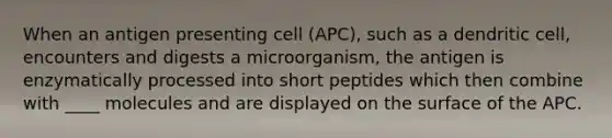 When an antigen presenting cell (APC), such as a dendritic cell, encounters and digests a microorganism, the antigen is enzymatically processed into short peptides which then combine with ____ molecules and are displayed on the surface of the APC.