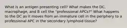 What is an antigen presenting cell? What makes the DC, macrophage, and B cell the "professional APCs?" What happens to the DC as it moves from an immature cell in the periphery to a professional APC in the secondary lymphoid tissue?