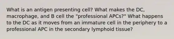 What is an antigen presenting cell? What makes the DC, macrophage, and B cell the "professional APCs?" What happens to the DC as it moves from an immature cell in the periphery to a professional APC in the secondary lymphoid tissue?