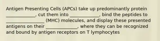 Antigen Presenting Cells (APCs) take up predominantly protein _____________, cut them into _____________, bind the peptides to _________________ (MHC) molecules, and display these presented antigens on their ______________, where they can be recognized and bound by antigen receptors on T lymphocytes