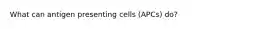 What can antigen presenting cells (APCs) do?