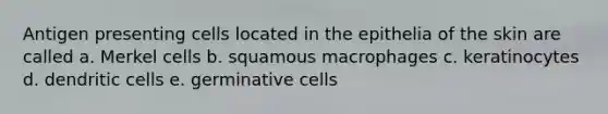 Antigen presenting cells located in the epithelia of the skin are called a. Merkel cells b. squamous macrophages c. keratinocytes d. dendritic cells e. germinative cells