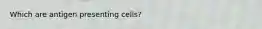 Which are antigen presenting cells?