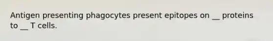 Antigen presenting phagocytes present epitopes on __ proteins to __ T cells.