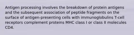 Antigen processing involves the breakdown of protein antigens and the subsequent association of peptide fragments on the surface of antigen-presenting cells with immunoglobulins T-cell receptors complement proteins MHC class I or class II molecules CD4.