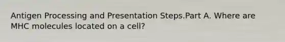 Antigen Processing and Presentation Steps.Part A. Where are MHC molecules located on a cell?