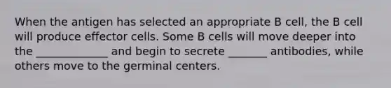 When the antigen has selected an appropriate B cell, the B cell will produce effector cells. Some B cells will move deeper into the _____________ and begin to secrete _______ antibodies, while others move to the germinal centers.