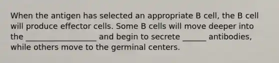 When the antigen has selected an appropriate B cell, the B cell will produce effector cells. Some B cells will move deeper into the __________________ and begin to secrete ______ antibodies, while others move to the germinal centers.