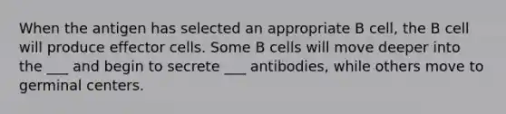 When the antigen has selected an appropriate B cell, the B cell will produce effector cells. Some B cells will move deeper into the ___ and begin to secrete ___ antibodies, while others move to germinal centers.