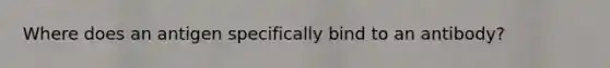 Where does an antigen specifically bind to an antibody?