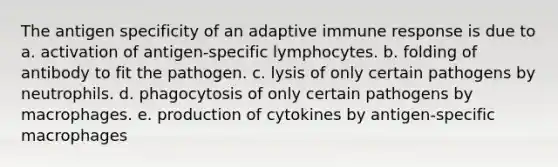 The antigen specificity of an adaptive immune response is due to a. activation of antigen-specific lymphocytes. b. folding of antibody to fit the pathogen. c. lysis of only certain pathogens by neutrophils. d. phagocytosis of only certain pathogens by macrophages. e. production of cytokines by antigen-specific macrophages