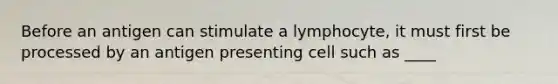 Before an antigen can stimulate a lymphocyte, it must first be processed by an antigen presenting cell such as ____