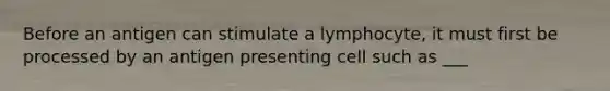 Before an antigen can stimulate a lymphocyte, it must first be processed by an antigen presenting cell such as ___