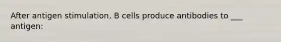 After antigen stimulation, B cells produce antibodies to ___ antigen: