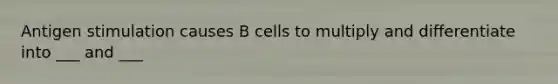 Antigen stimulation causes B cells to multiply and differentiate into ___ and ___