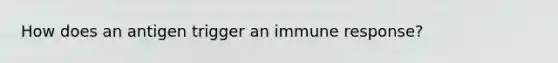 How does an antigen trigger an immune response?