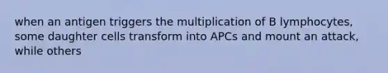 when an antigen triggers the multiplication of B lymphocytes, some daughter cells transform into APCs and mount an attack, while others