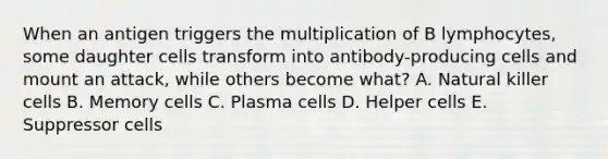 When an antigen triggers the multiplication of B lymphocytes, some daughter cells transform into antibody-producing cells and mount an attack, while others become what? A. Natural killer cells B. Memory cells C. Plasma cells D. Helper cells E. Suppressor cells