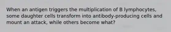 When an antigen triggers the multiplication of B lymphocytes, some daughter cells transform into antibody-producing cells and mount an attack, while others become what?