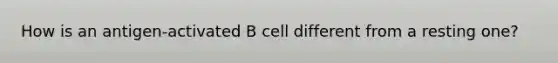 How is an antigen-activated B cell different from a resting one?