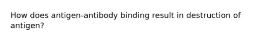 How does antigen-antibody binding result in destruction of antigen?