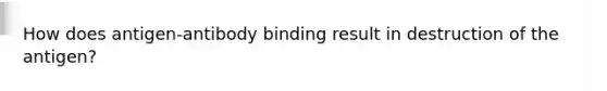 How does antigen-antibody binding result in destruction of the antigen?