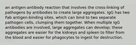 an antigen-antibody reaction that involves the cross-linking of pathogens by antibodies to create large aggregates. IgG has two Fab antigen-binding sites, which can bind to two separate pathogen cells, clumping them together. When multiple IgG antibodies are involved, large aggregates can develop; these aggregates are easier for the kidneys and spleen to filter from <a href='https://www.questionai.com/knowledge/k7oXMfj7lk-the-blood' class='anchor-knowledge'>the blood</a> and easier for phagocytes to ingest for destruction.