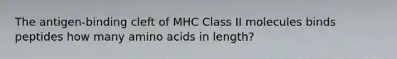 The antigen-binding cleft of MHC Class II molecules binds peptides how many amino acids in length?