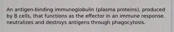 An antigen-binding immunoglobulin (plasma proteins), produced by B cells, that functions as the effector in an immune response. neutralizes and destroys antigens through phagocytosis.