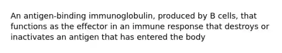 An antigen-binding immunoglobulin, produced by B cells, that functions as the effector in an immune response that destroys or inactivates an antigen that has entered the body