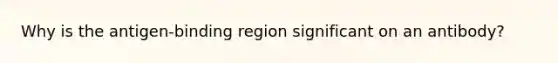 Why is the antigen-binding region significant on an antibody?